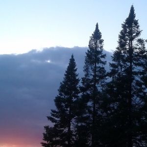 Meet your Posher, Violet